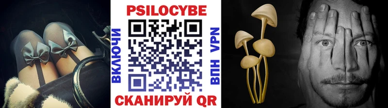закладка  Урай  Галлюциногенные грибы Psilocybe 